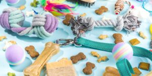 Welche Vorteile haben natürliche und biologische Haustierprodukte?